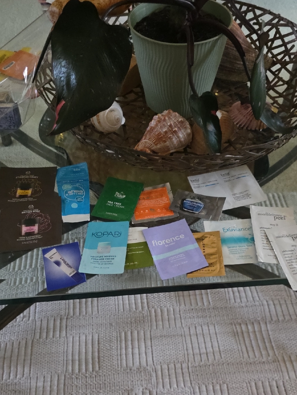 Assorted Women’s Skincare Sample Pack - Mixed Colors